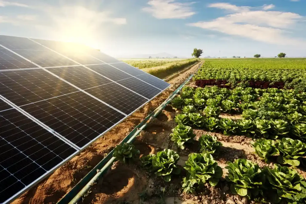 Painel solar instalado em um campo de hortaliças sob céu parcialmente nublado, promovendo energia solar e agricultura sustentável.
